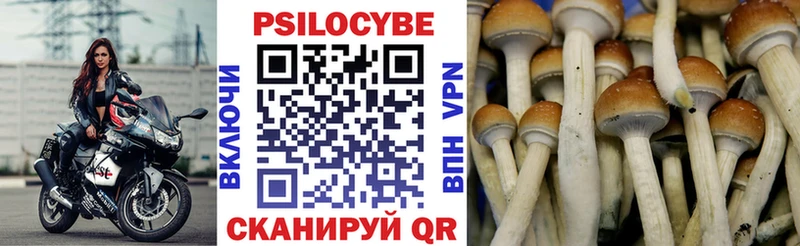 Псилоцибиновые грибы GOLDEN TEACHER  Мариинский Посад 